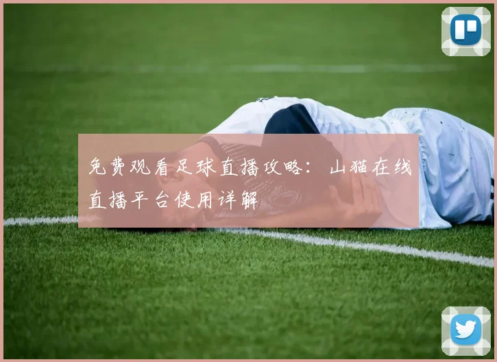 免费观看足球直播攻略：山猫在线直播平台使用详解